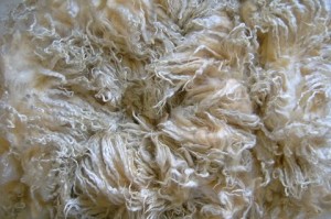  Fleecewood Leicester Lamb Fleece