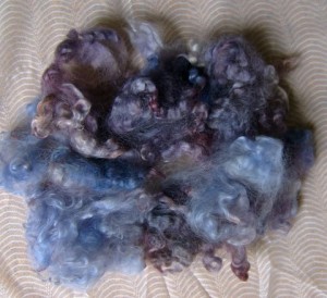 Blue-purple rainbow dyed Leicester fleece locks