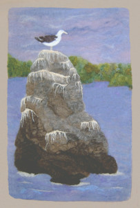 Seagull on rock