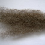  Dark Grey English Leicester Sliver
