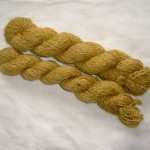 Honey gold English Leicester - 10 ply