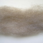 Mid Grey English Leicester Sliver