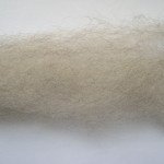Pale Grey English Leicester Sliver
