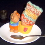 Egg Cosy