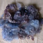 Blue-purple rainbow dyed Leicester fleece locks